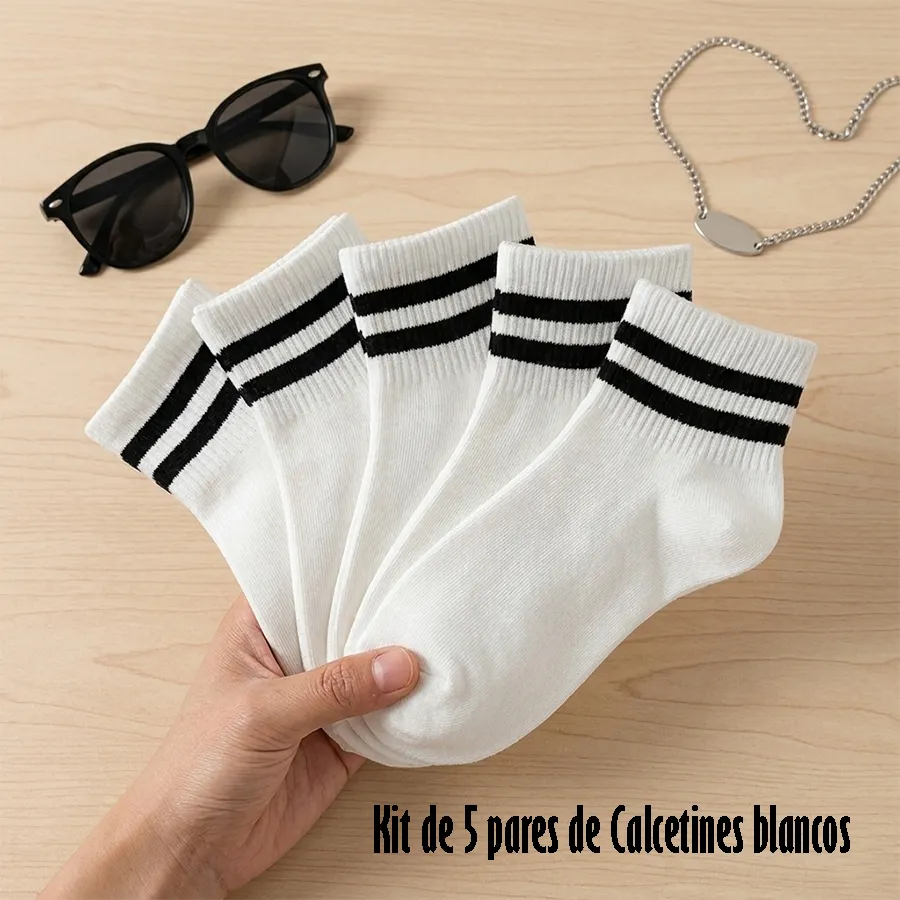 SP-01 EDICION 12240